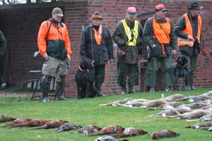 Birko vom Jura-Grund 4